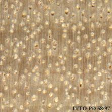 Ozigo (Dacryodes buettneri) | ITTO